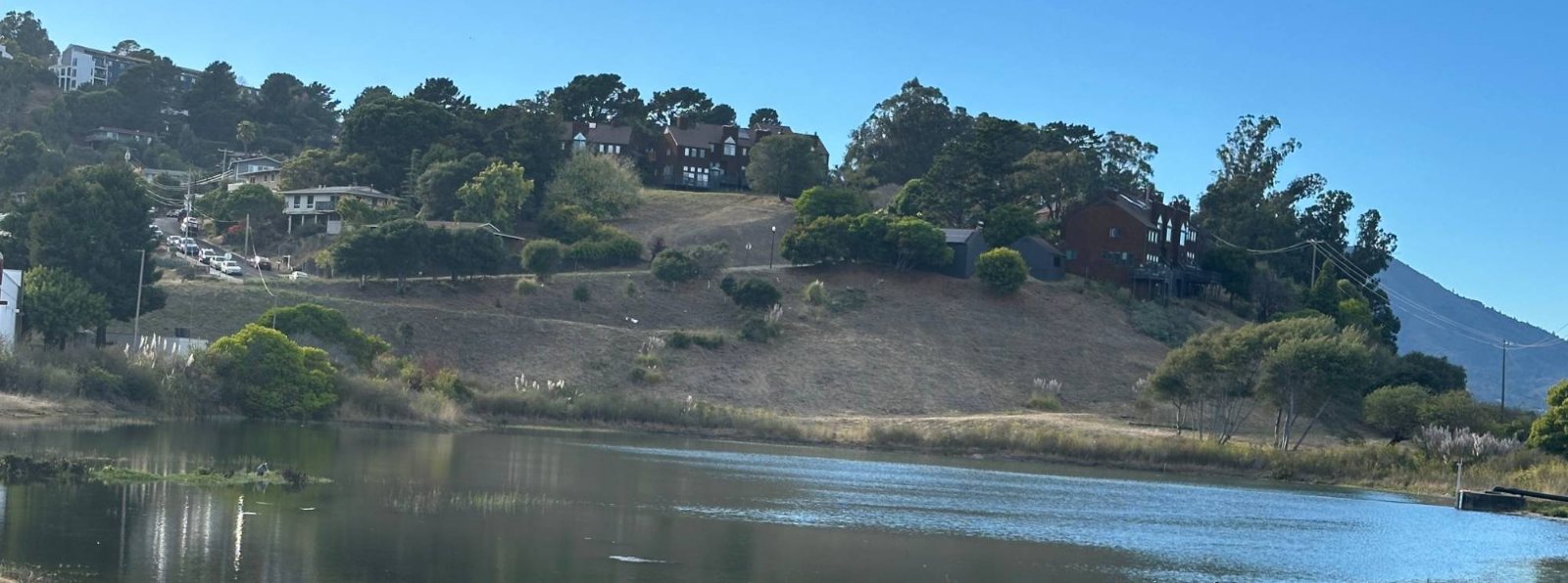 The Marin City Pond on a dry, sunny day: a broad sheet of still water with reeds at its edges, dry grass along the near bank, and houses among trees on the hillside behind it.